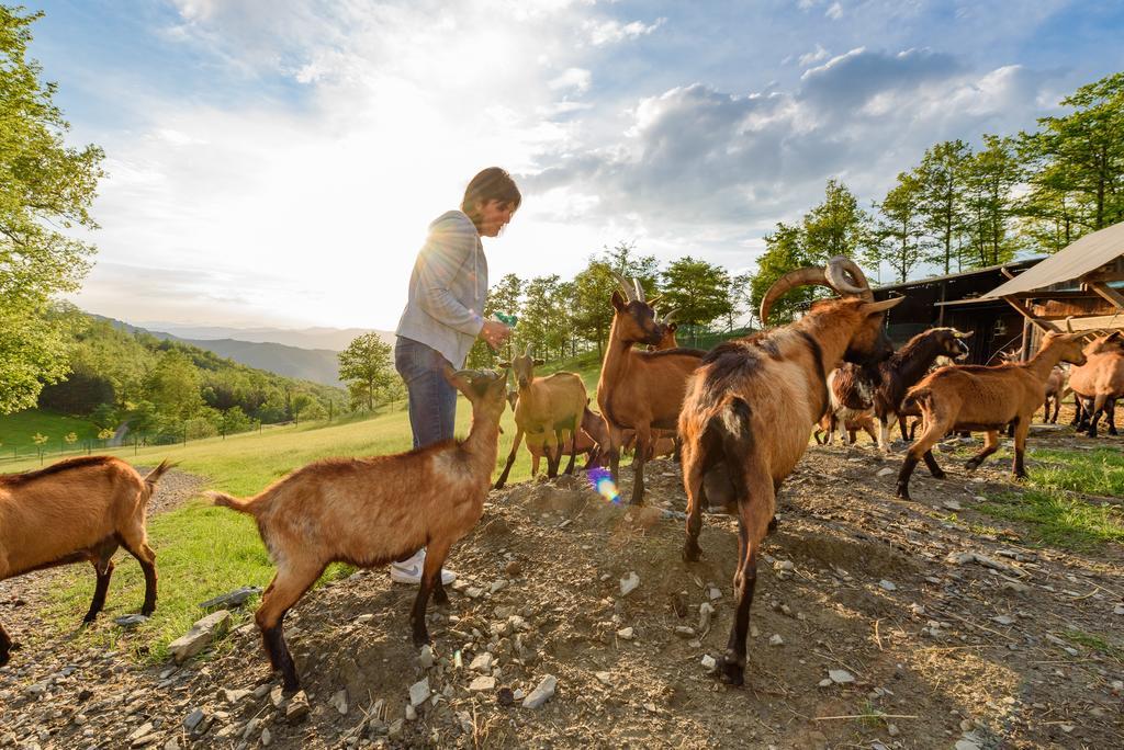 Agriturismo Casapasserini Londa Ngoại thất bức ảnh