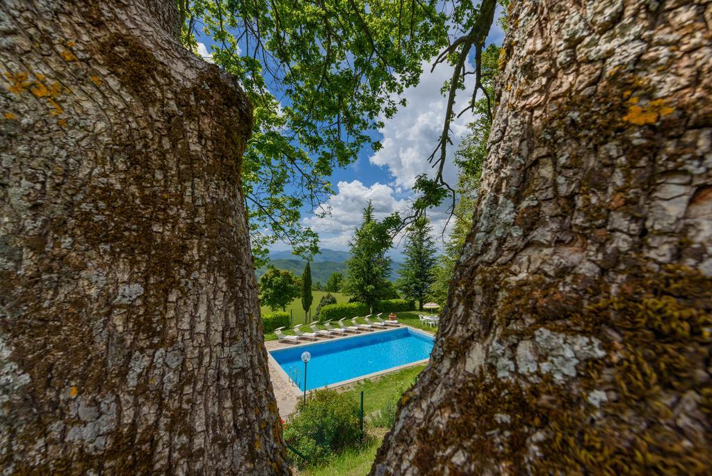 Agriturismo Casapasserini Londa Ngoại thất bức ảnh