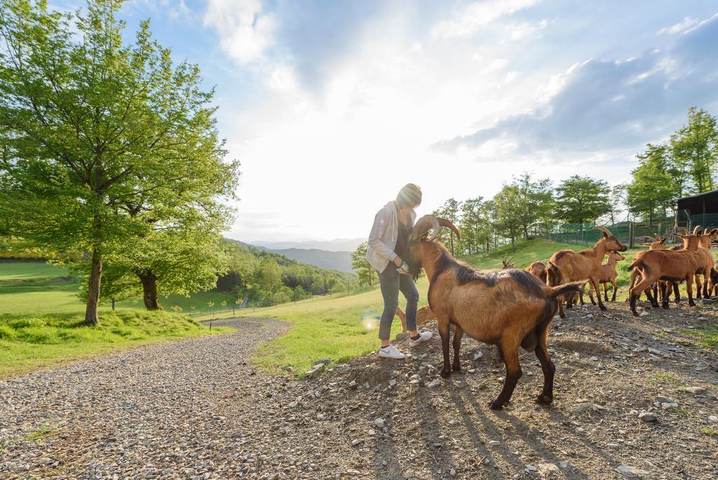 Agriturismo Casapasserini Londa Ngoại thất bức ảnh